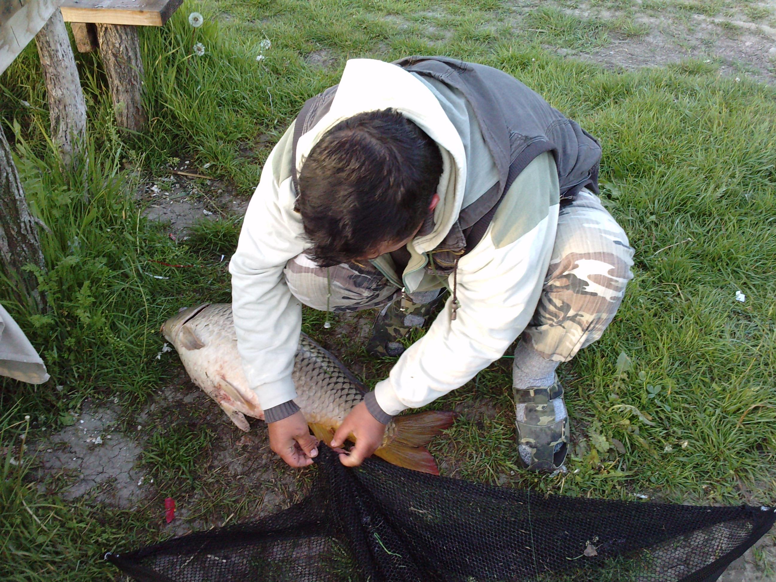 balta topraichioi - P060510_06.240001.JPG